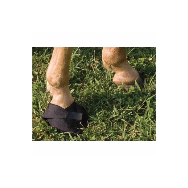 Hoof Wraps Boots til heste Hovfokus.dk